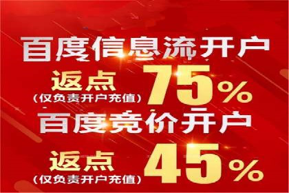 百度SEO推广策略全解析：某企业从零到一的成长历程